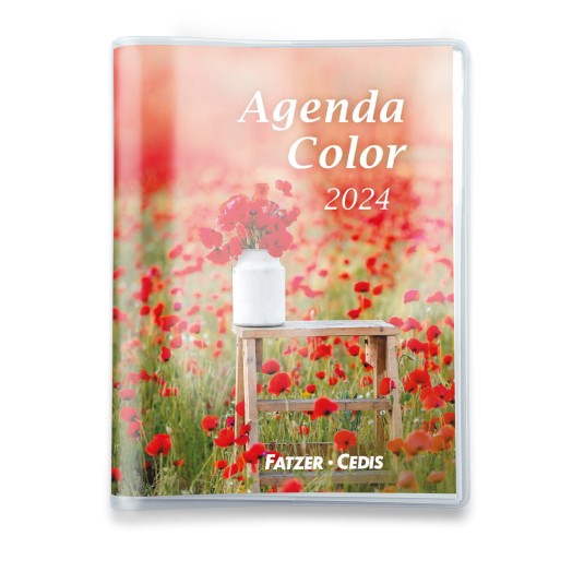 Agenda Color 2024