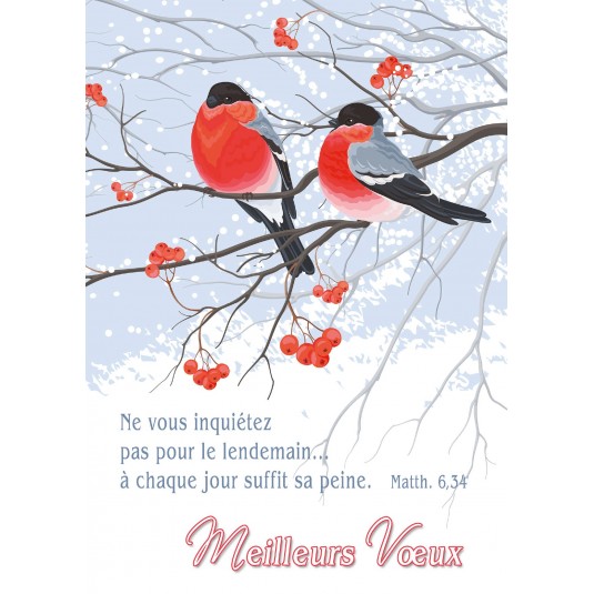 Carte Fin D'année Oiseaux sur branche d'arbre (MV)