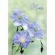 MINI CARTE : Trois fleurs bleues(Merci)