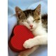 CARTE ST : Chat endormi sur coeur rouge