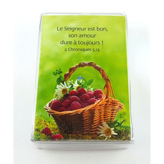 Lot 100 Mini-cartes avec verset : Dieu est mon secours