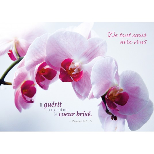 Carte Avec Verset Fleur Orchidée