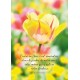 CARTE PENSEE : Fleur jaune dans un jardin