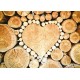 CARTE ST : Coeur dans des rondins de bois
