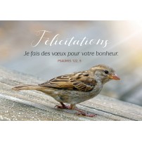 CARTE VB : Oiseau (Félicitations)