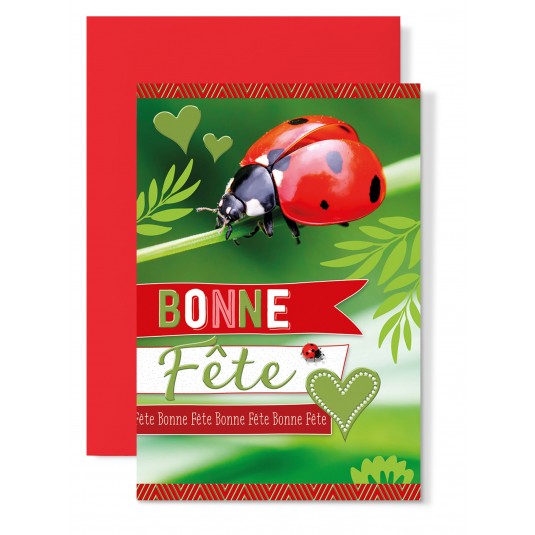 Carte Double Bonne F&ecirc;te Coccinelle