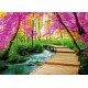 Carte postale - Chemin sur bois sous les arbres en fleur