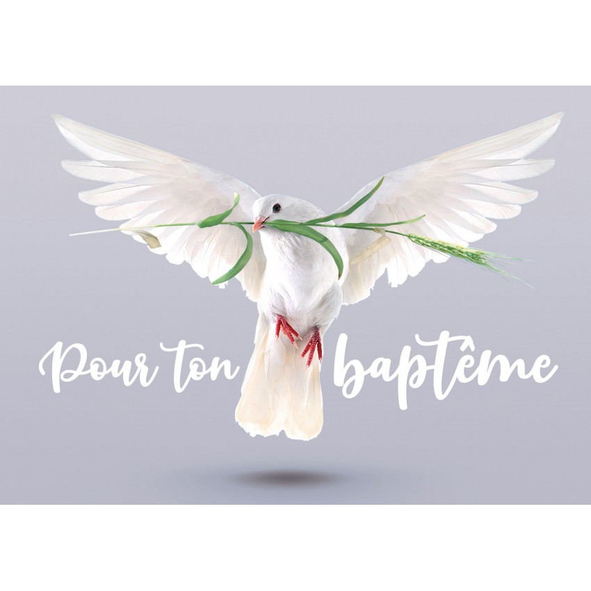 Carte Avec Message Colombe avec un épi de blé dans le bec