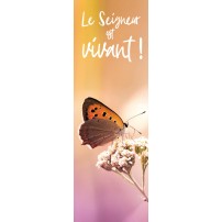 Signet - Papillon sur fond orange