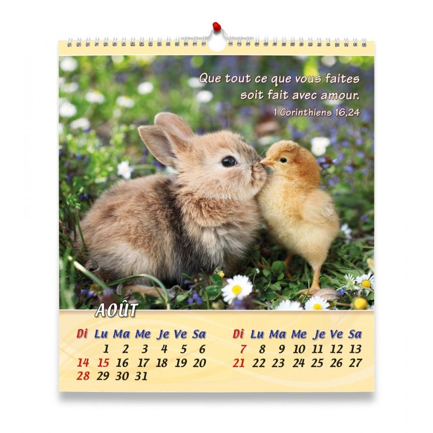 Calendrier 2022 Avec Photos D'animaux
