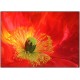 Cartes Postales Sans Textes