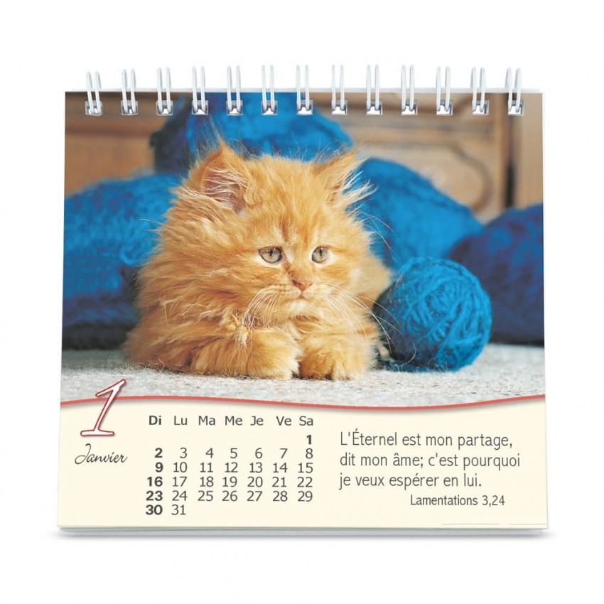 Nos Amis Les Chats Pf Calendrier Gbk 2022 Calendrier Des Fêtes De L'eternel 2022