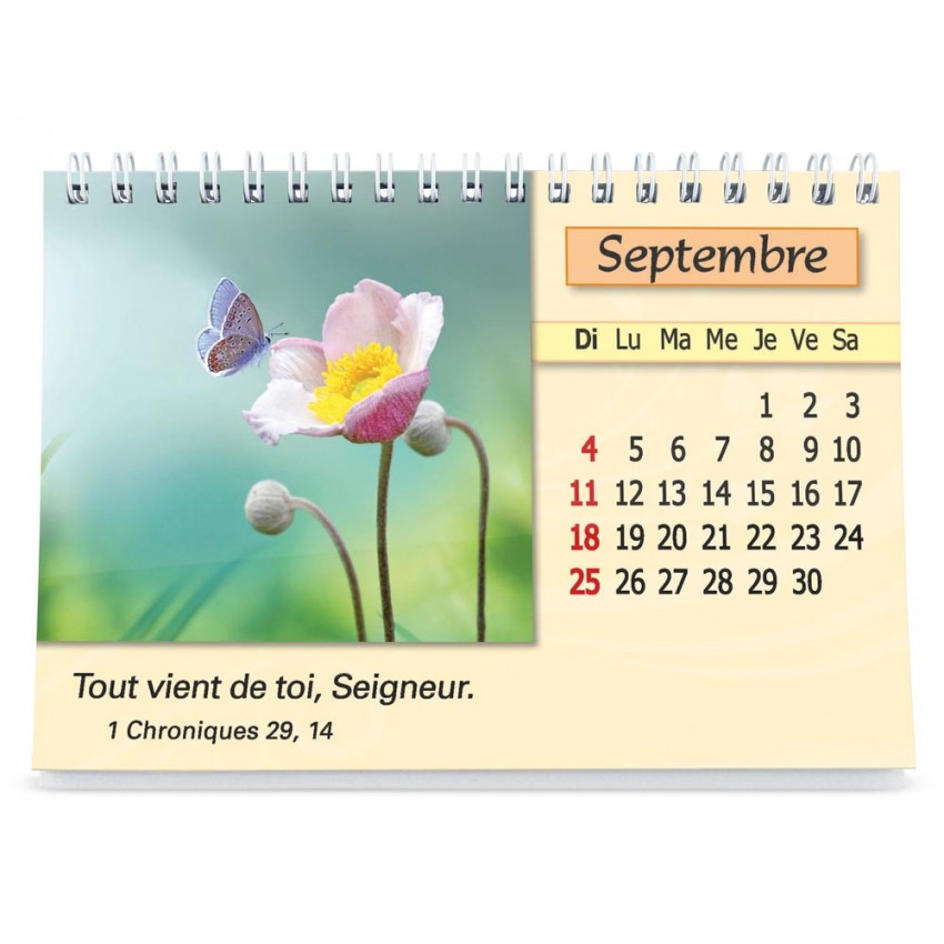 Plaisir d'offrir-Gros Caractères - Calendrier GBK 2022
