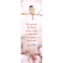 SIGNET : Oiseau sur une branche en hiver