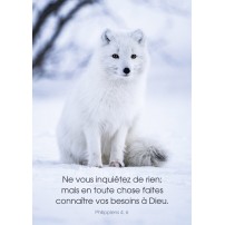 CARTE VB : Renard arctique sur la neige