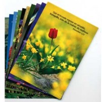 Lots cartes postales fleurs