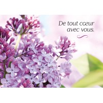 CARTE FLASH : Fleurs mauves