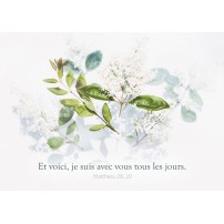 CARTE VB : Fleurs blanches et feuilles sur fond blanc