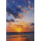 Maxi cartes sans textes