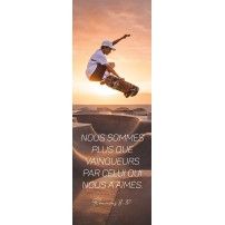 SIGNET:Skateur faisant une figure