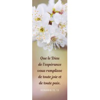 SIGNET:Fleurs blanches sur fond flou