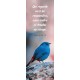 Signet Oiseau bleu et rouge
