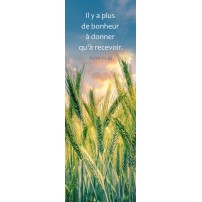 SIGNET: Epis de blé dans un champ