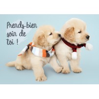 CARTE FLASH: Deux Golden Retrievers avec des écharpes