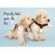 CARTE FLASH: Deux Golden Retrievers avec des écharpes