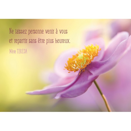 Carte Pensee Fleur rose sur fond flou