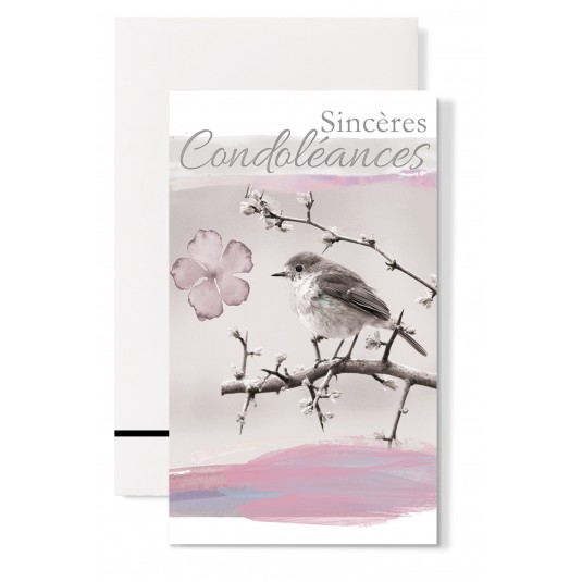 Carte Double Condol&eacute;ances Oiseau sur une branche fond ros&eacute;