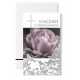 CARNET SC : Pivoine rose