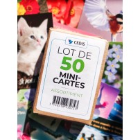 Lot 50 mini-cartes fin de série