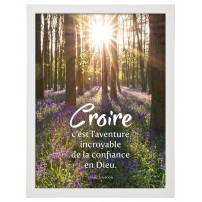 Cadre poster : Sous-bois avec un parterre de fleurs violettes