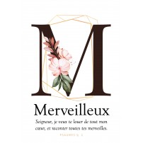 CARTE VB : Lettre M - Merveilleux