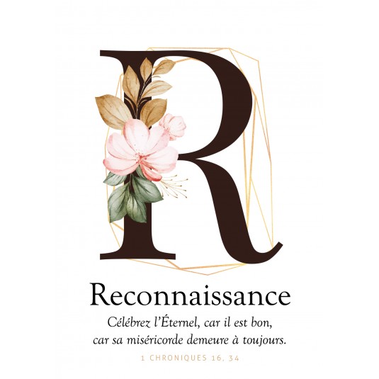 CARTE VB : Lettre R - Reconnaissance