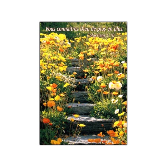 Mini Carte Escaliers fleuri