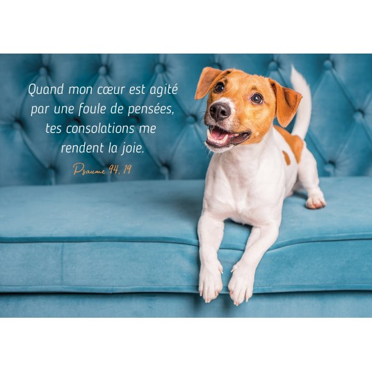 CARTE TB Chien Jack Russel sur un canapé