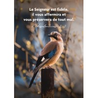 CARTE TB Oiseau posé sur un poteau