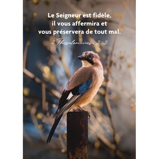 CARTE TB Oiseau posé sur un poteau