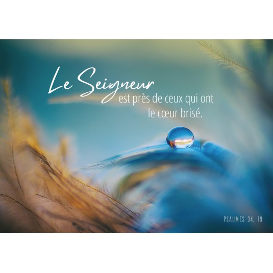 CARTE TB Goutte d'eau sur des plumes bleues et jaunes