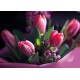 CARTE sans texte Bouquet de tulipes