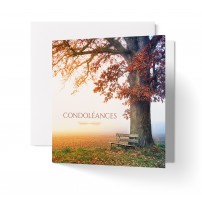 Carnet Condo Banc sous un arbre en automne