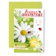 Carnet Anniversaire Marguerite et coccinelles