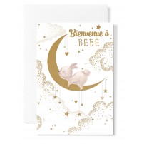 Carnet Naissance Lapin sur lune