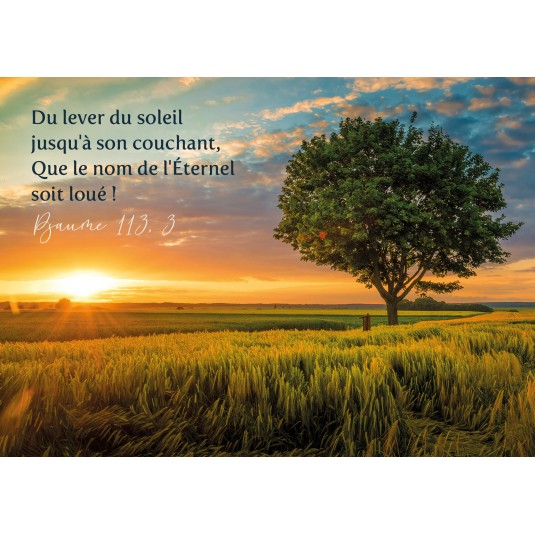 CARTE avec verset Coucher de soleil et arbre