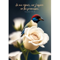 CARTE avec verset Oiseau et roses blanches