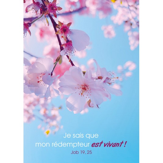 CARTE avec verset Fleurs de cerisier sur une branche