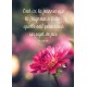 CARTE avec verset Fleur rose sur fond flou 