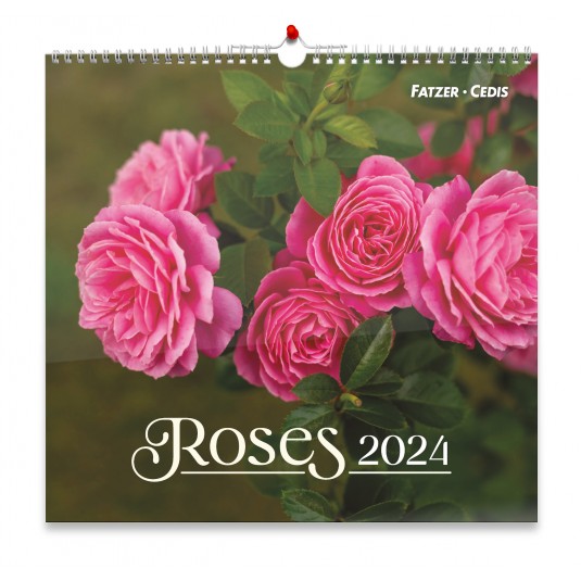 CAL.GBK 2024 Roses Grand format